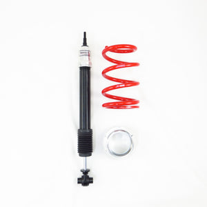 RS-R Tesla Model 3 RWD Coilover with Titanium Spring