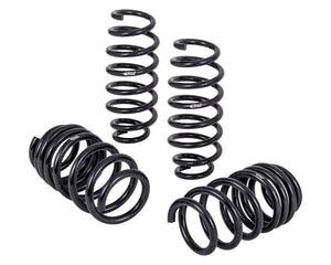 Eibach Tesla Model 3 Springs Pro-Kit