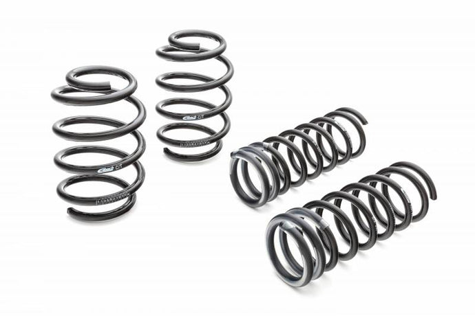 Eibach Tesla Model 3 Springs Pro-Kit