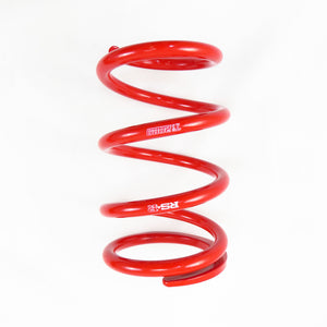 RS-R Coilovers Tesla Model 3